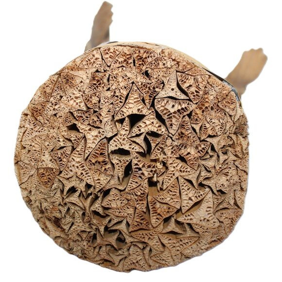 Vintage Rare Christmas Mary And Joseph Carved Cornhusk Wood Set Figures - Picture 16 of 16